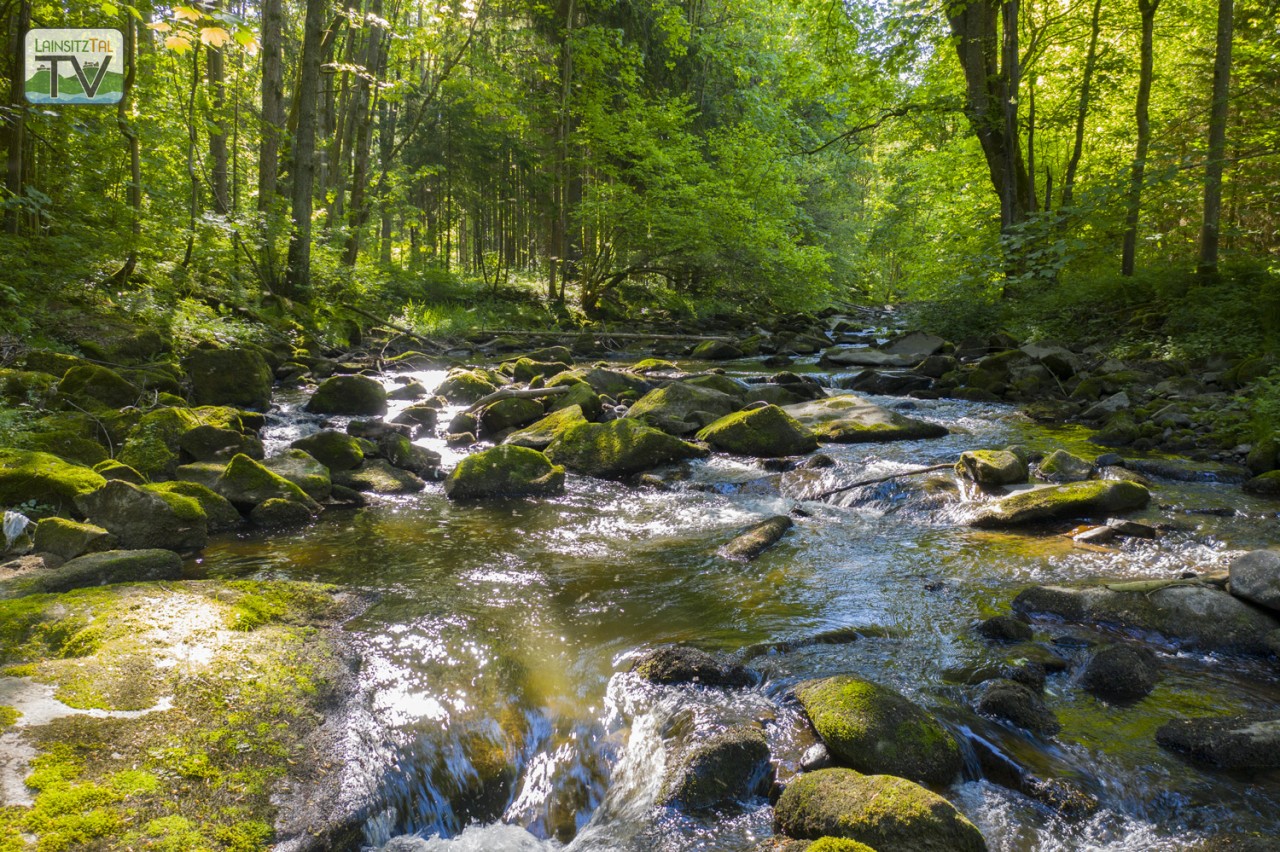 lainsitz_fluss4.jpg